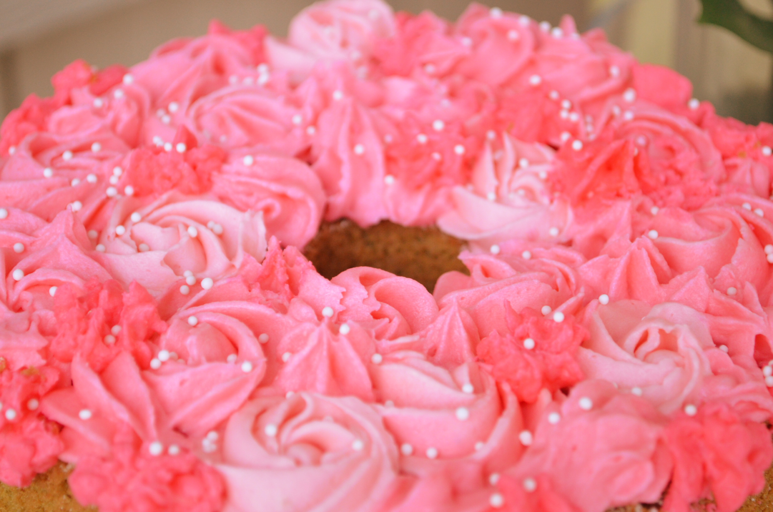 Samll Batch  Matcha Chiffon Cake