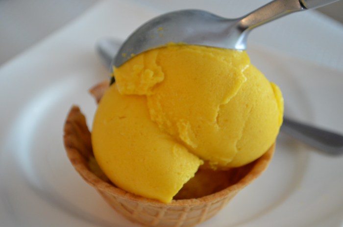 Mango Frozen Yogurt Small Batch
