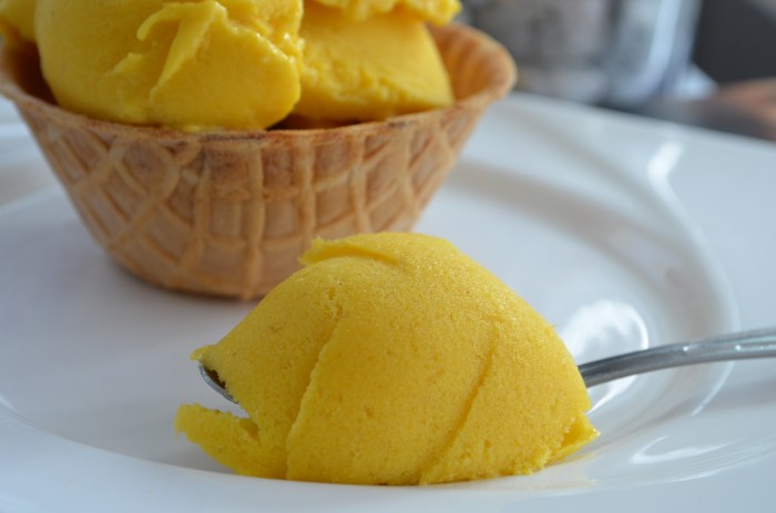 Mango Frozen Yogurt Small Batch