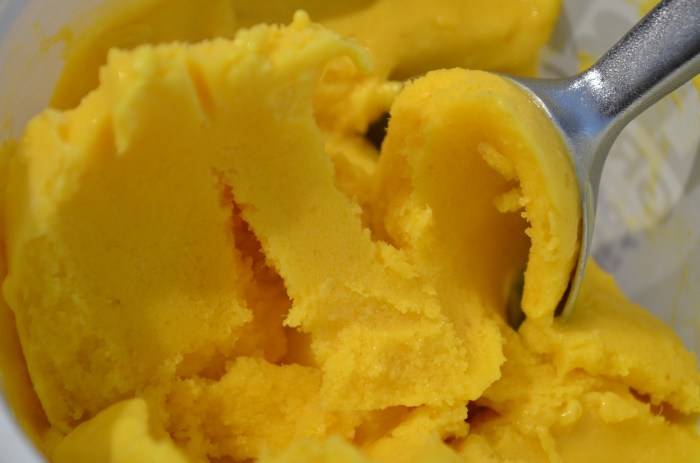 Mango Frozen Yogurt Small Batch
