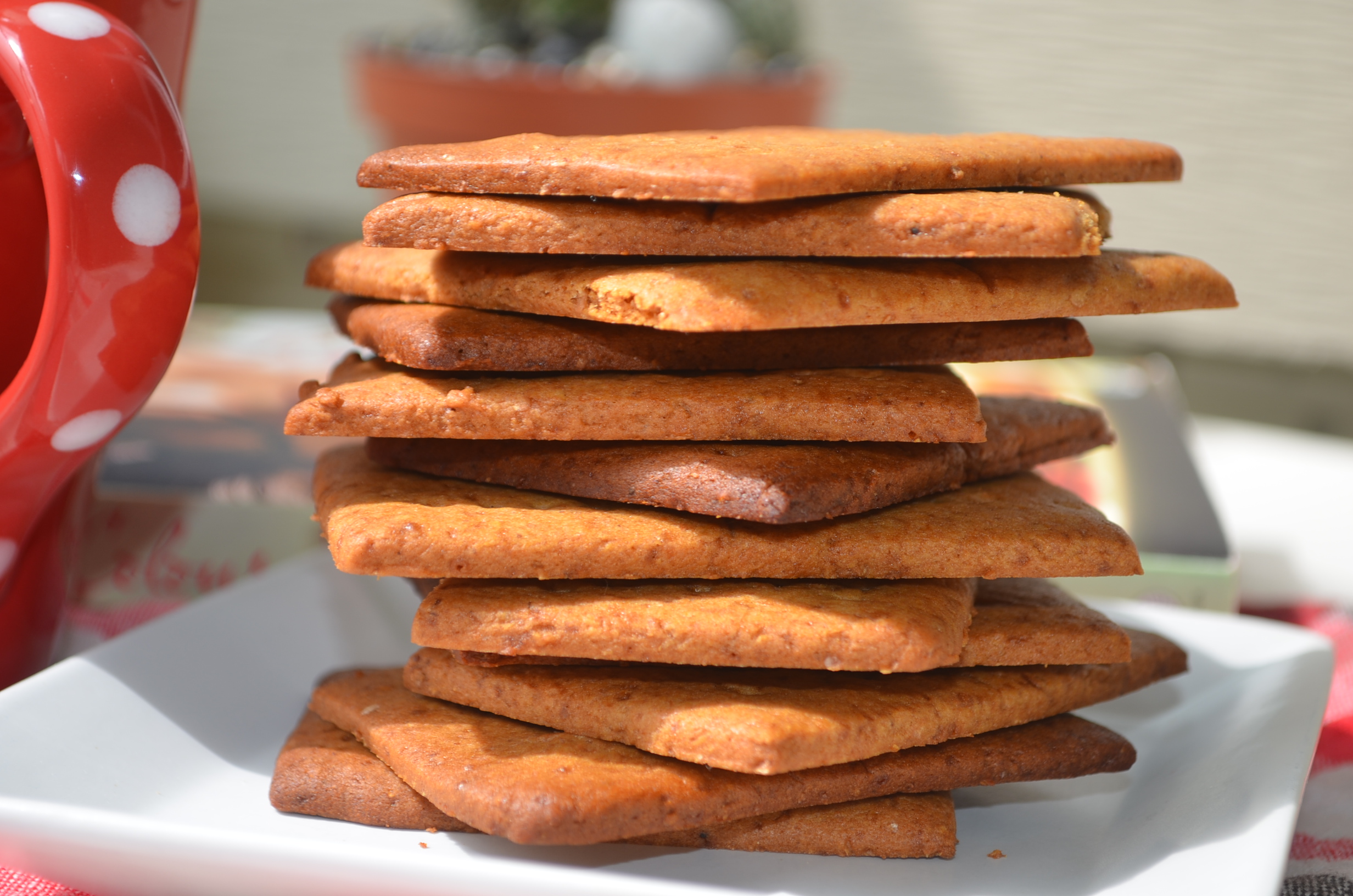 Homemade Graham Crackers Biscuit