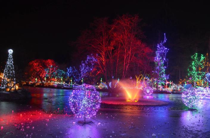 Festival of Lights at Vandusen Garden, vancouver BC