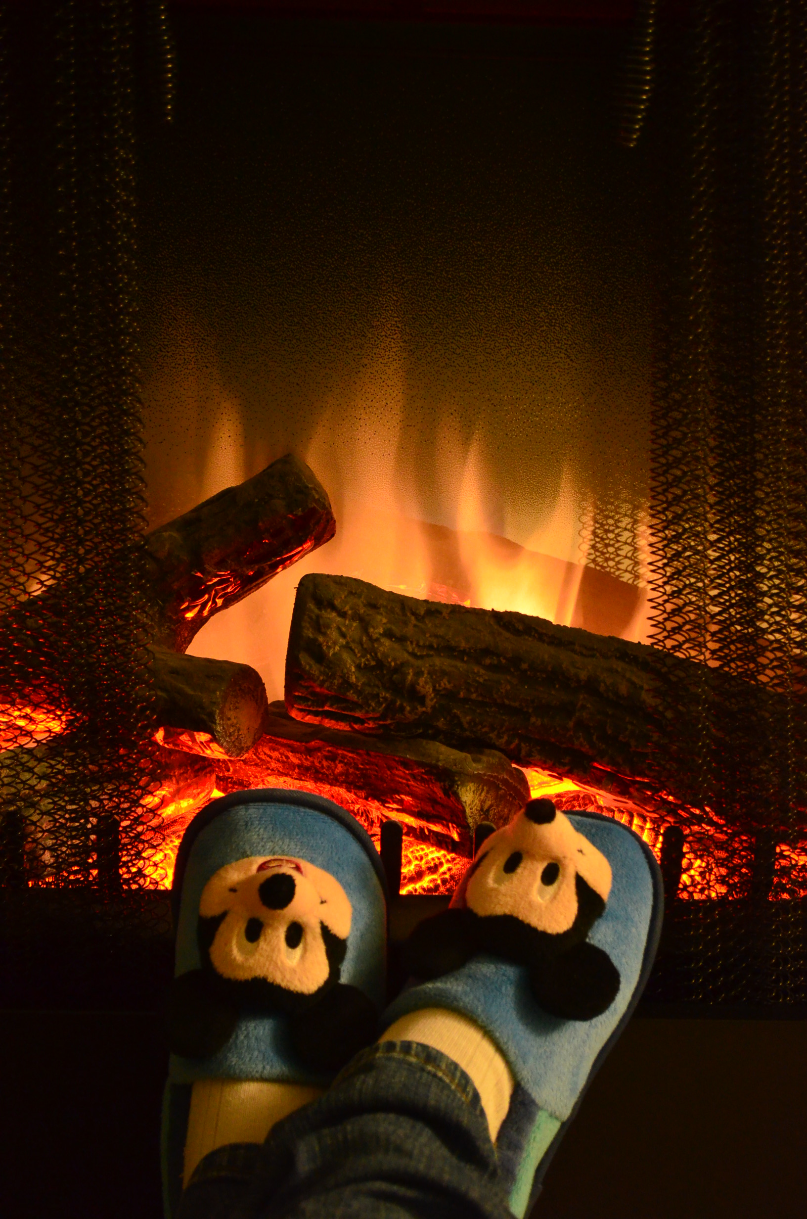 2016 Spotlight : Behind the Scene of Food Blogging