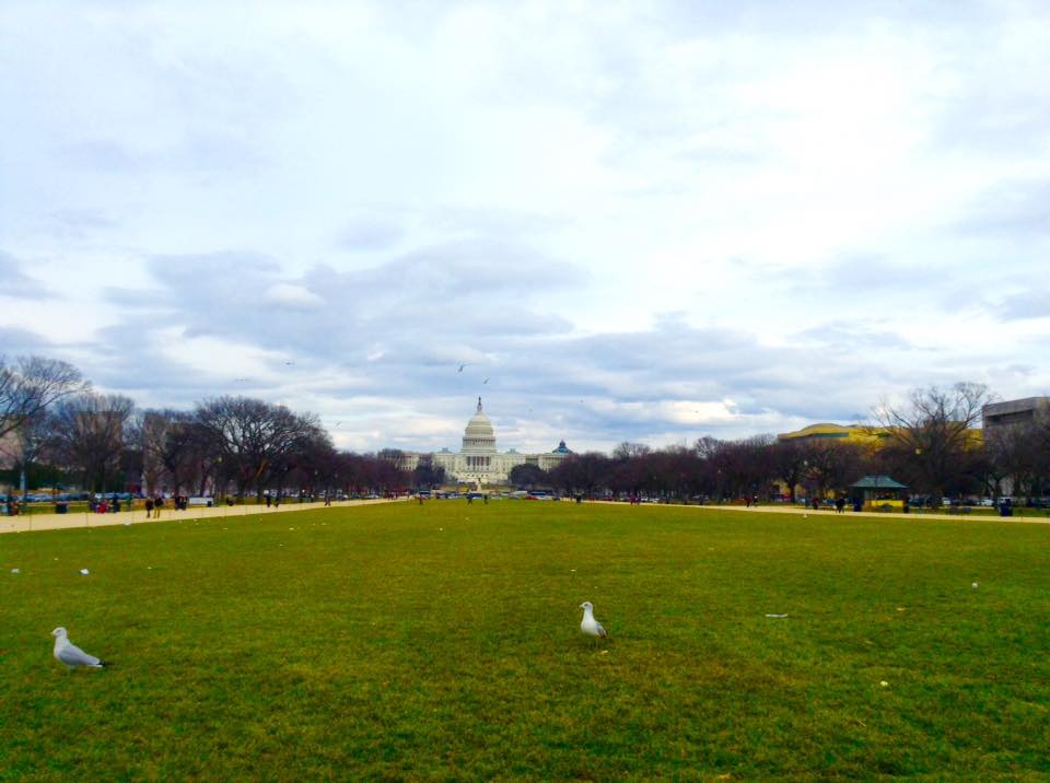 Attraction in  Washington, DC
