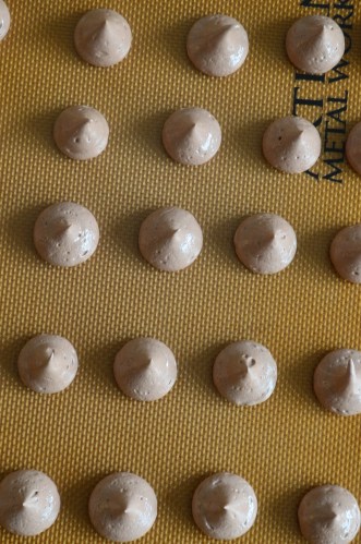 Meringue Kisses Chocolate Recipes