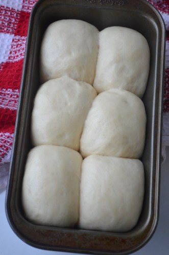 Soft Bread Rolls