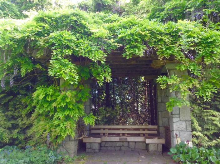 18839011_10209750319777082_2946601786002581979_n