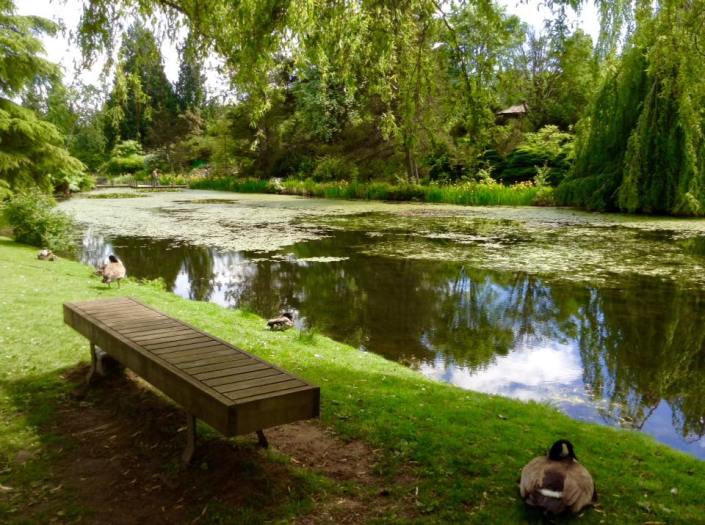 Vandusen Botanical Garden, Vancouver BC