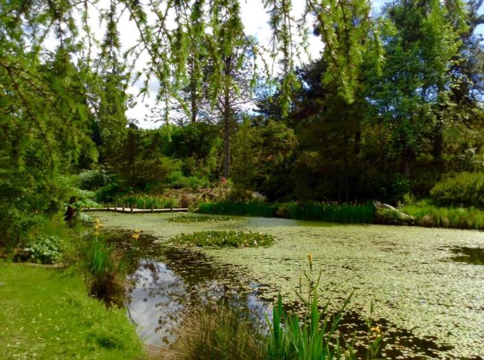 Vandusen Botanical Garden