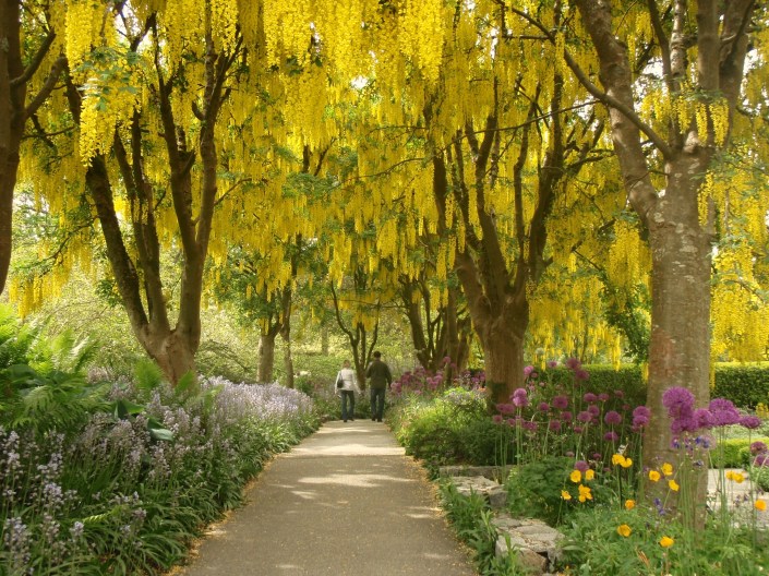 Spring in Vandusen Botanical Garden, Vancouver BC