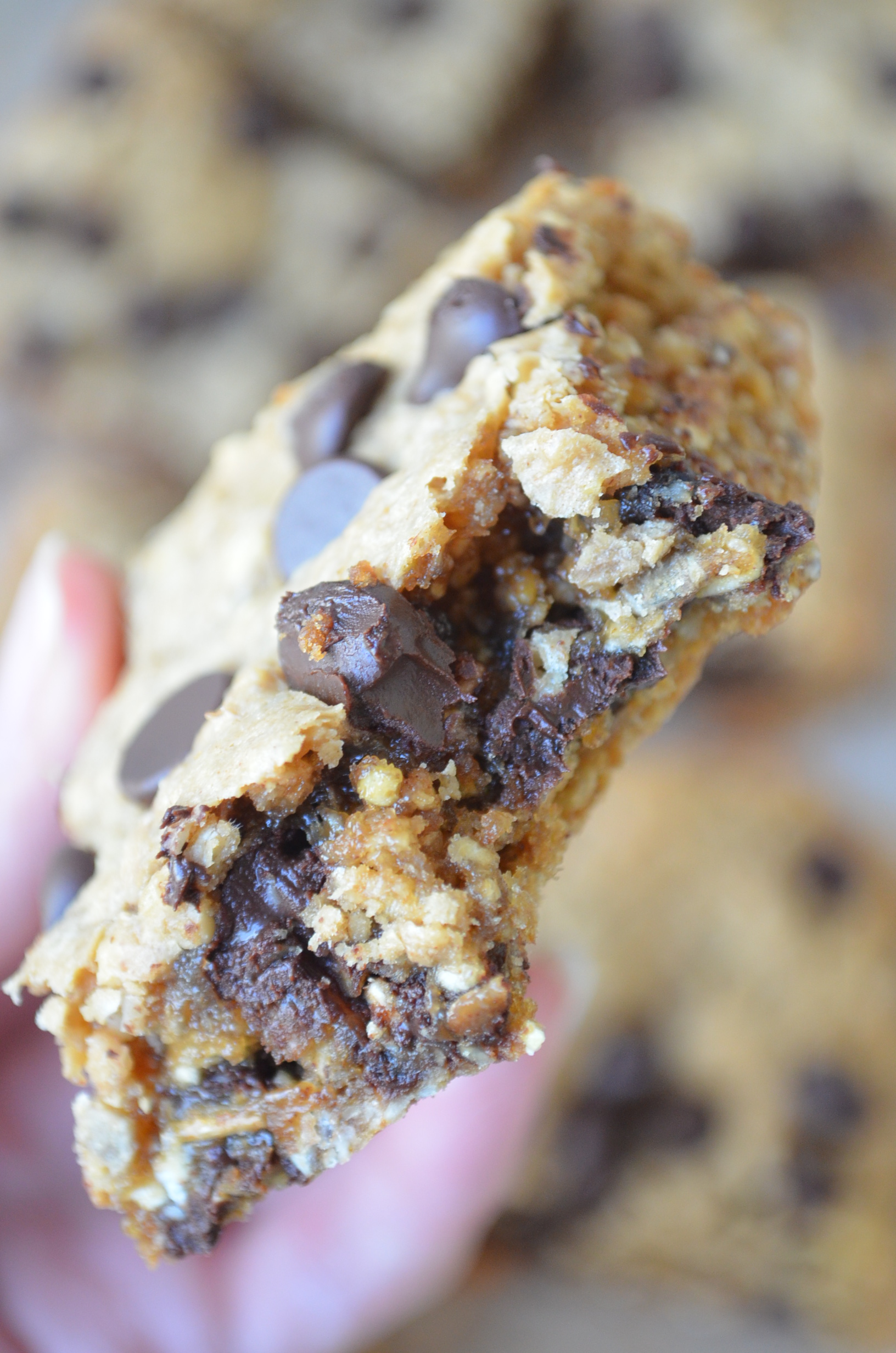 Peanut Butter Chocolate Chip Oats Bar