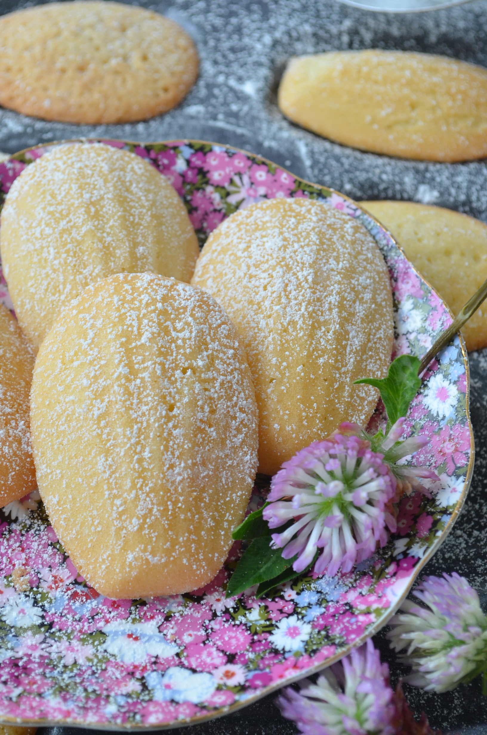 Classic Small Batch Madeleine Coookies