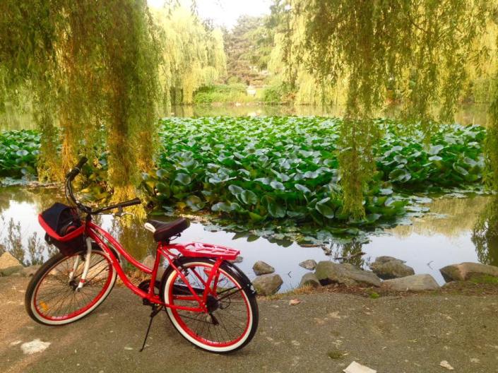 Minoru Park, Richmond BC