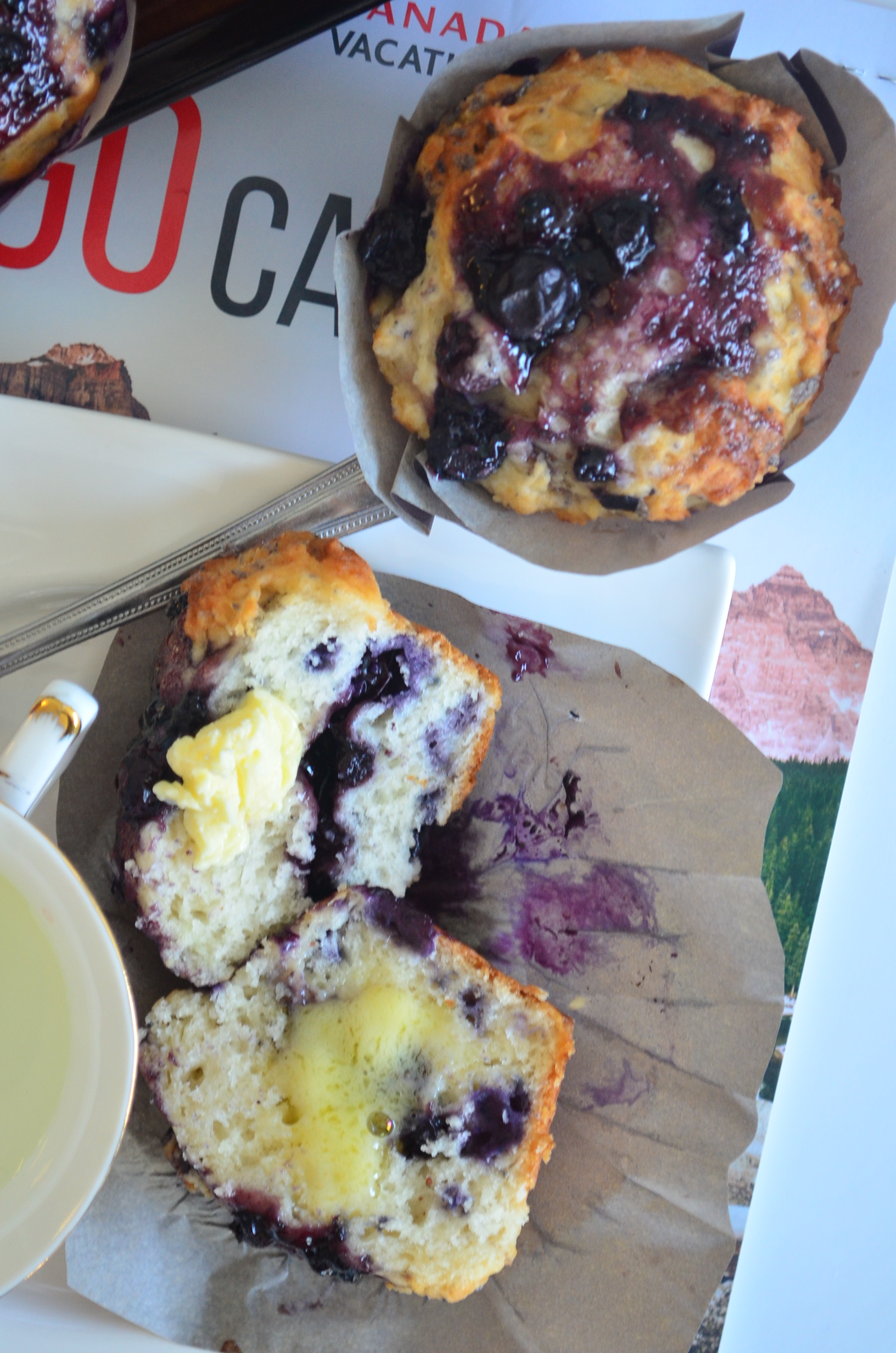 Blueberry Greek Yogurt Muffin by SweetNSpicyLiving.com