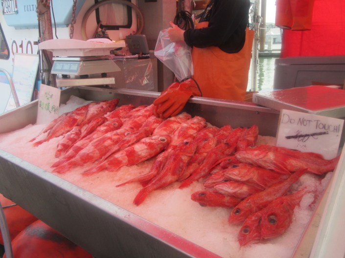 Fisherman's Wharf at Steveston Village, Richmond BC