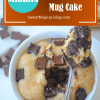 Chocolate Chip Peanut Butter Mug Cake&nbsp;2