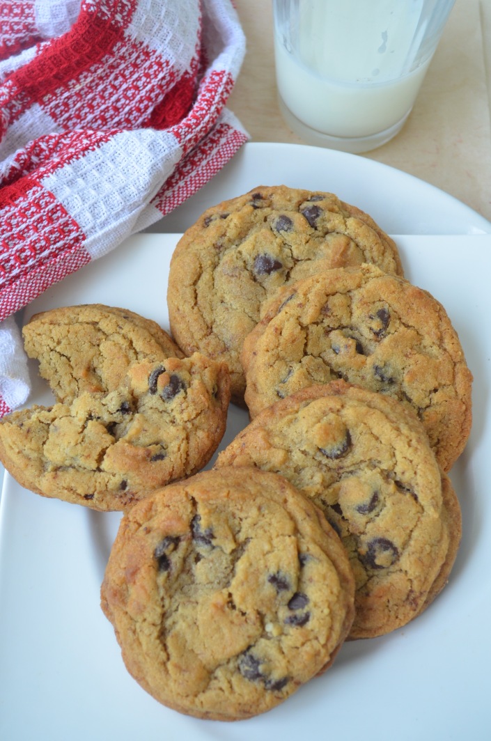 Chocolate Chip Cookie