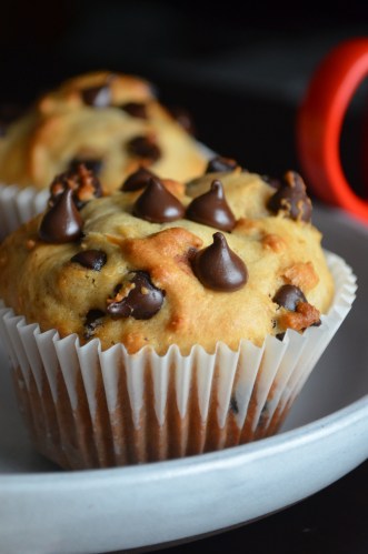 Chocolate Chip MUffins Recipe