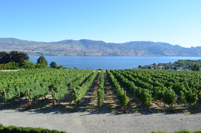 Kelowna Winery Mission Hill
