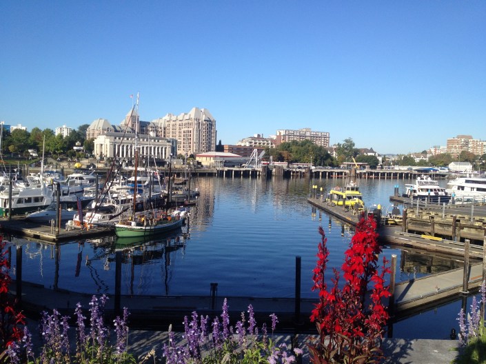 Coal Harbour at Victoria BC canada
