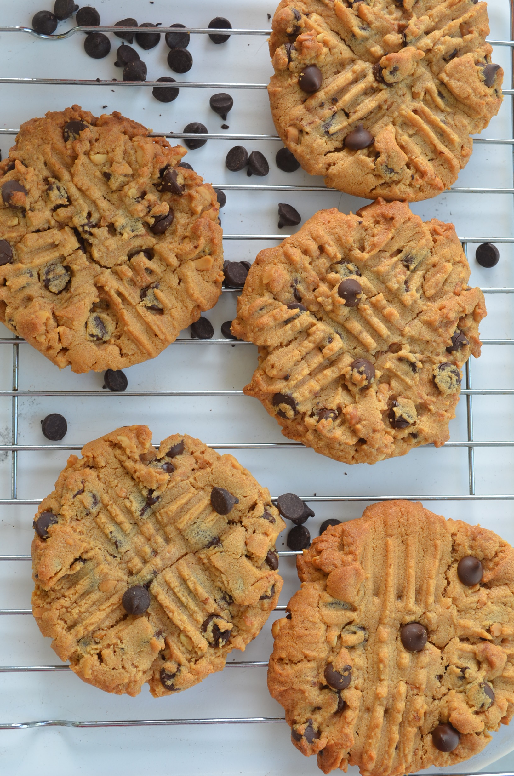 Peanut Butter Chocolate Chip Cookie at SweetNSpicyLiving.com