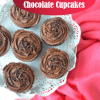 Simply Chocolate Cupcake
