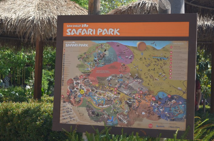 Zafari Park San Diego