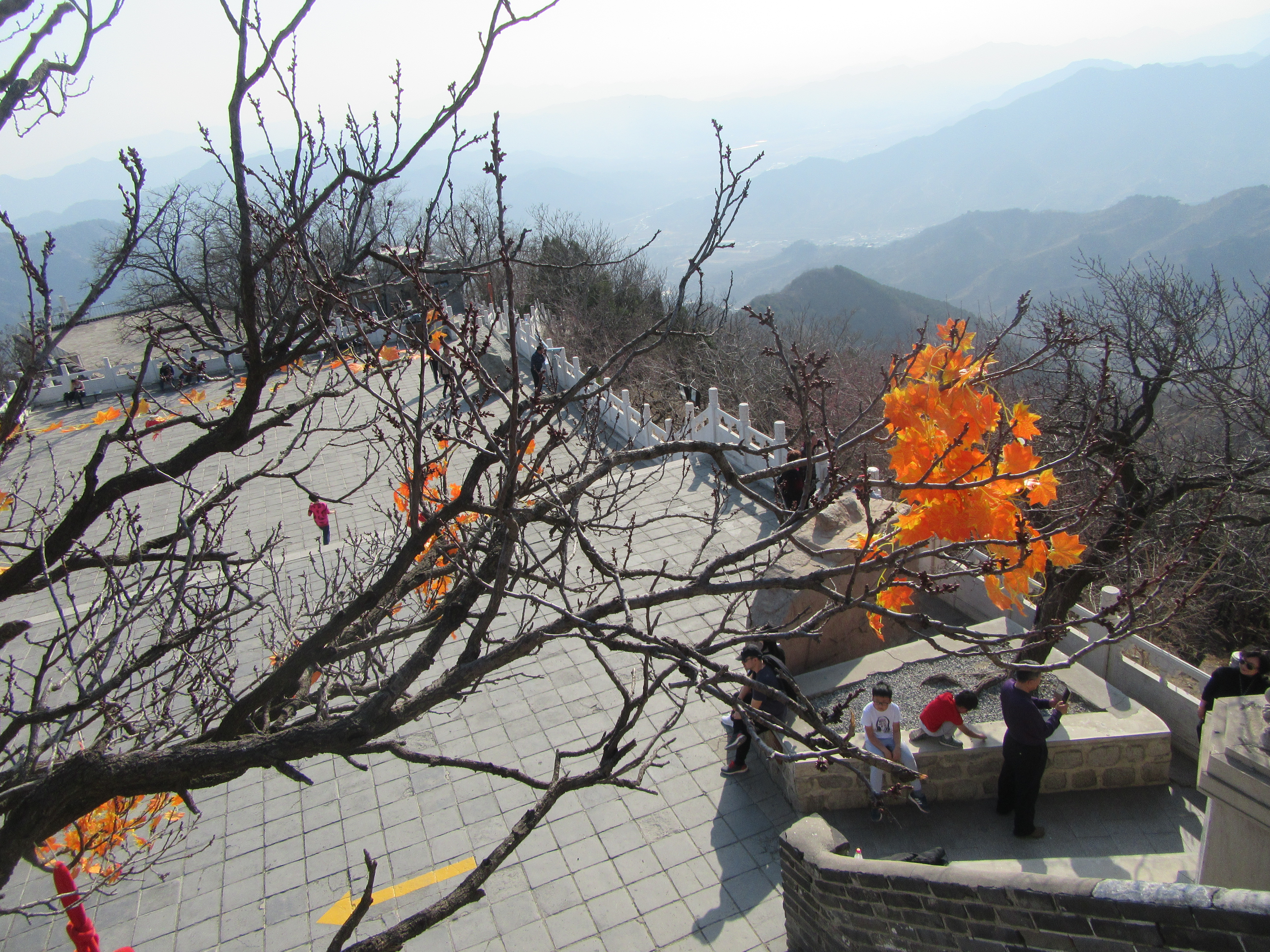 Great Wall View Point