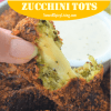 Cheesy Zucchini Tots&nbsp;Blog