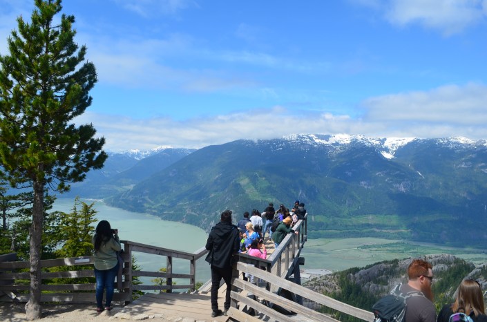 Chief Overlook Viewing Platform