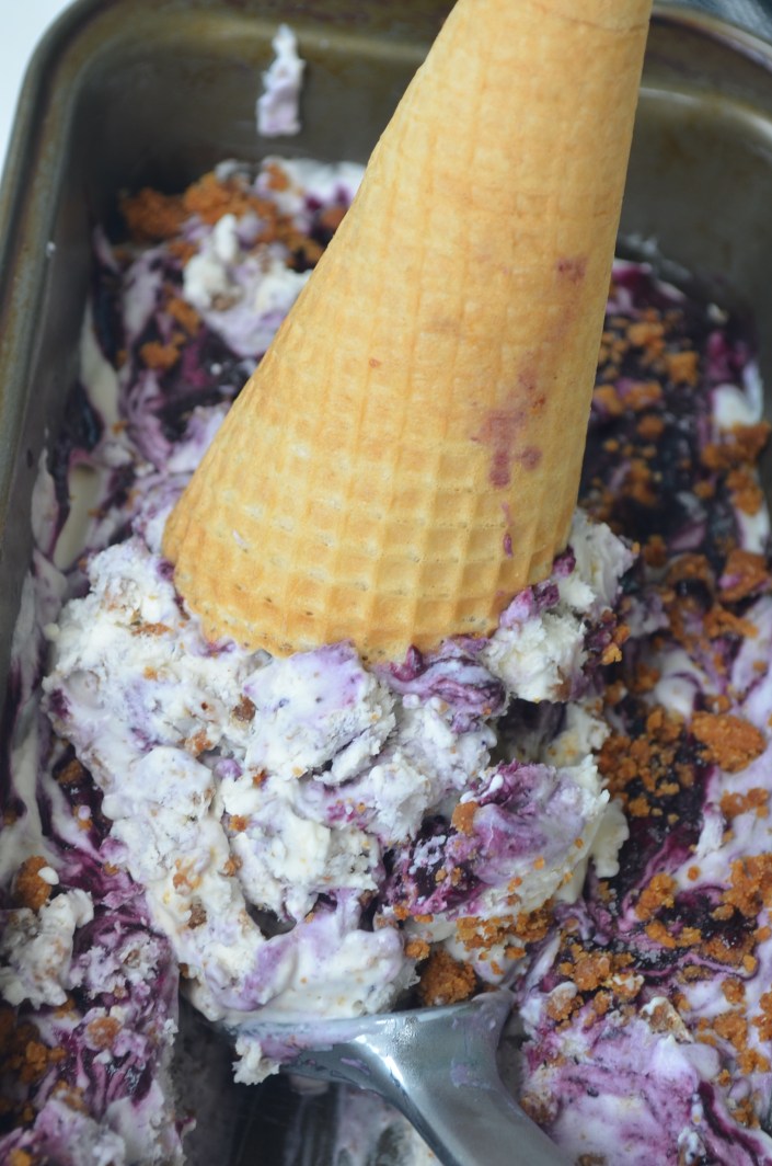 Homemade Blueberry Ice Cream No Churn