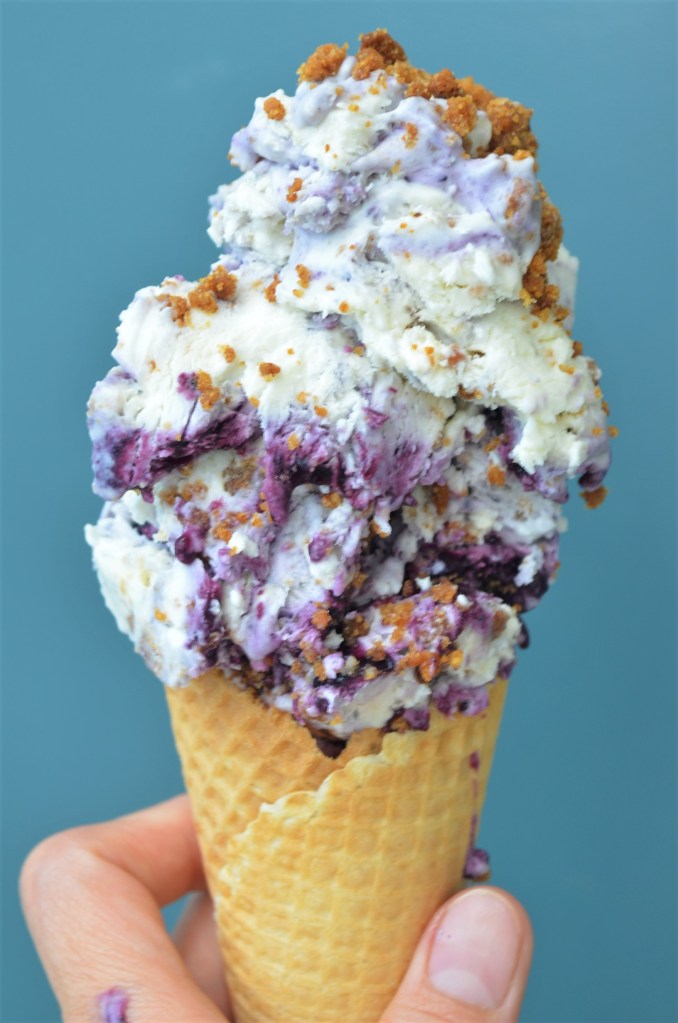 No Churn Homemade Blueberry Ice Cream