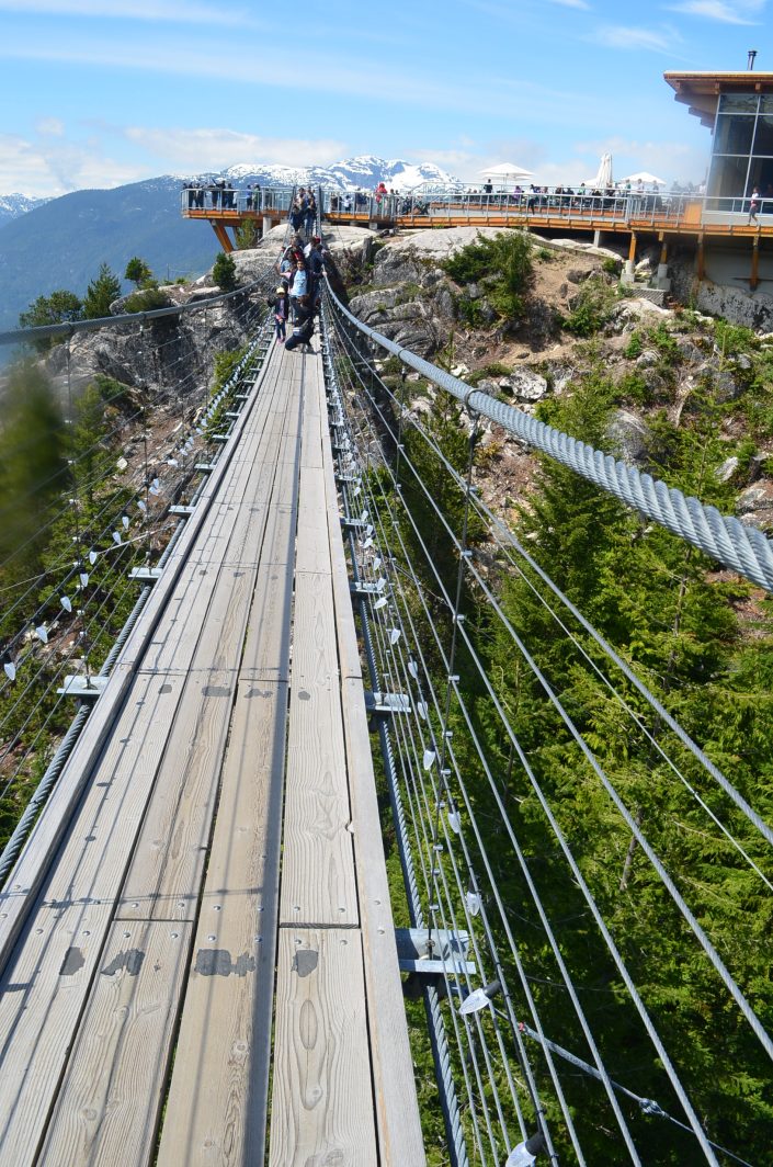Sea To Sky Pilot Suspension Bridge
