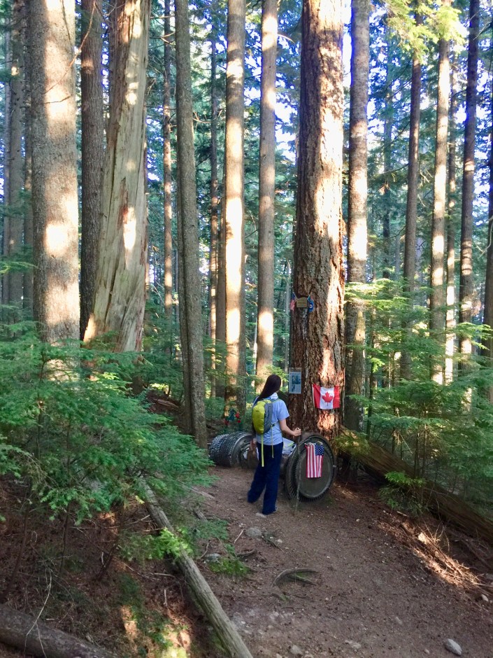 Grouse Mountain Sky Line Crash Site Trail
