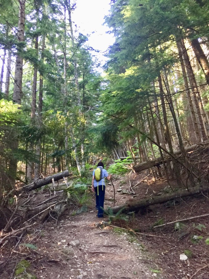 North Vancouver Sky Line Trail