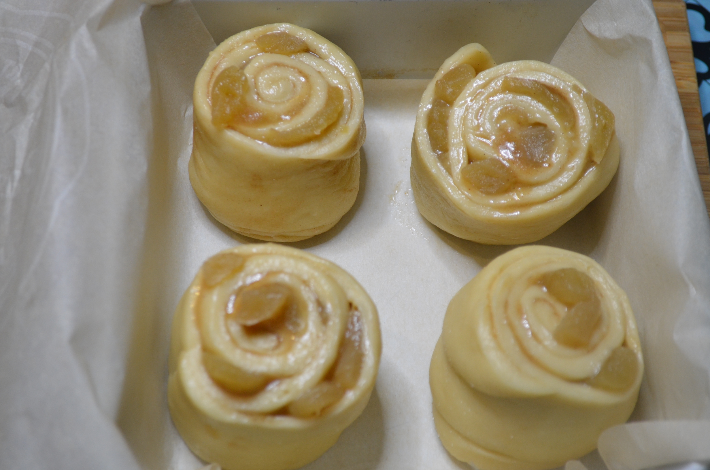 Cinnamon Roll Dough