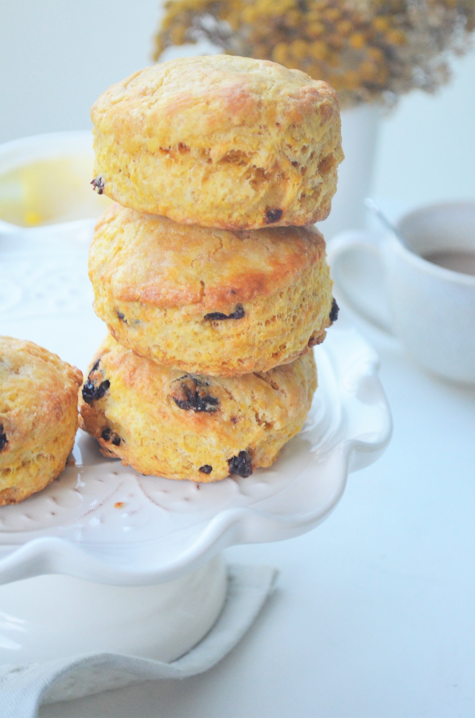 Pumpkin Raisins Biscuit By SweetnSpicyLiving
