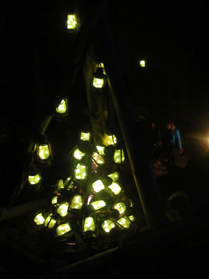 Nightwalk at Vallea Lumina