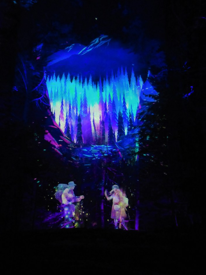 Vallea Lumina Night Walk at Whistler