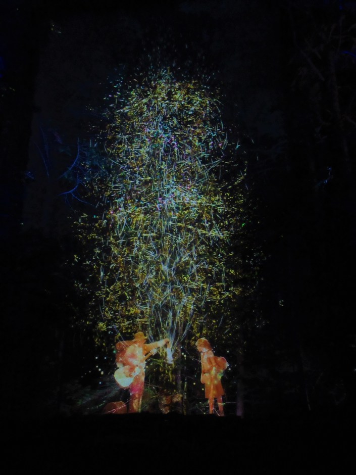 Vallea Lumina Whistler BC Canada