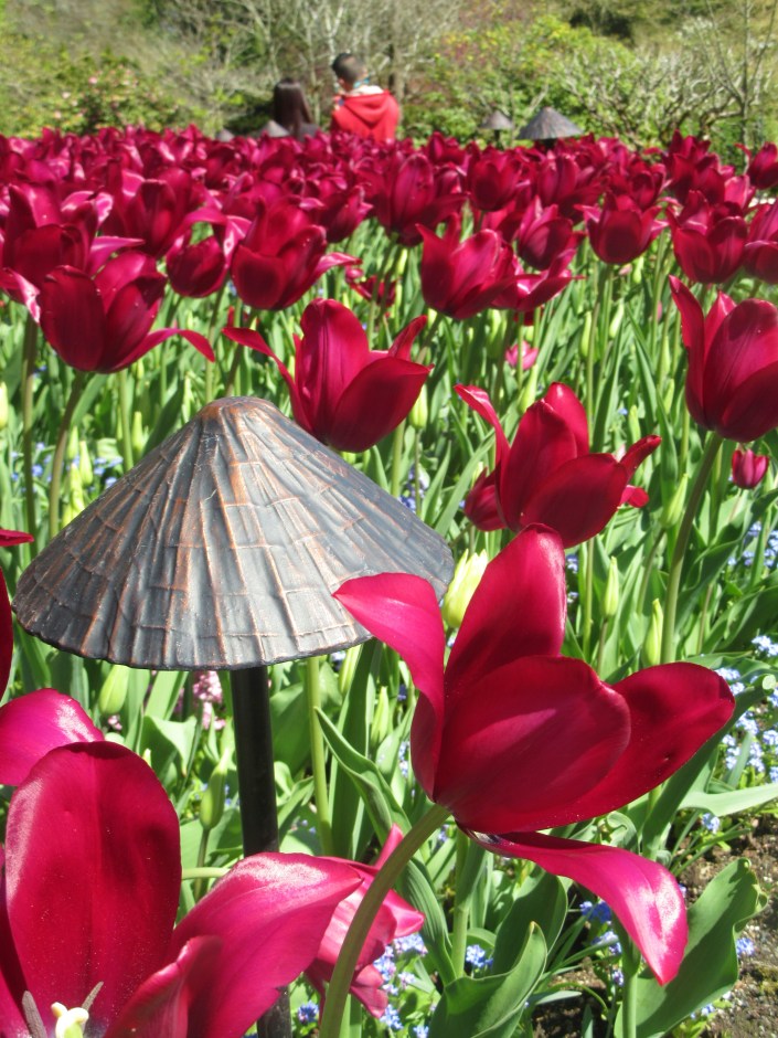 Butchart Garden Spring 2019