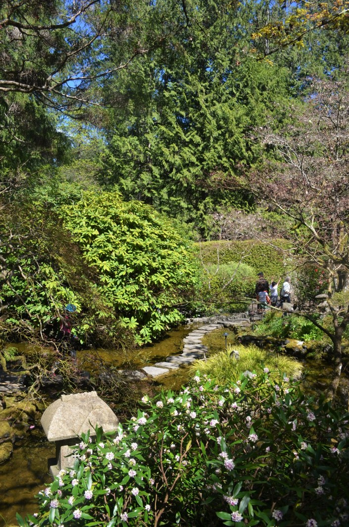 Japanese Garden at Butchart Garden