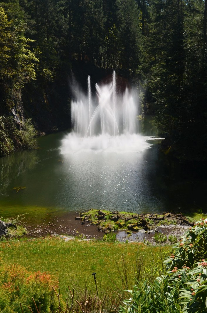 Ross Fountain Butchart Garden Spring 2019 at Victoria