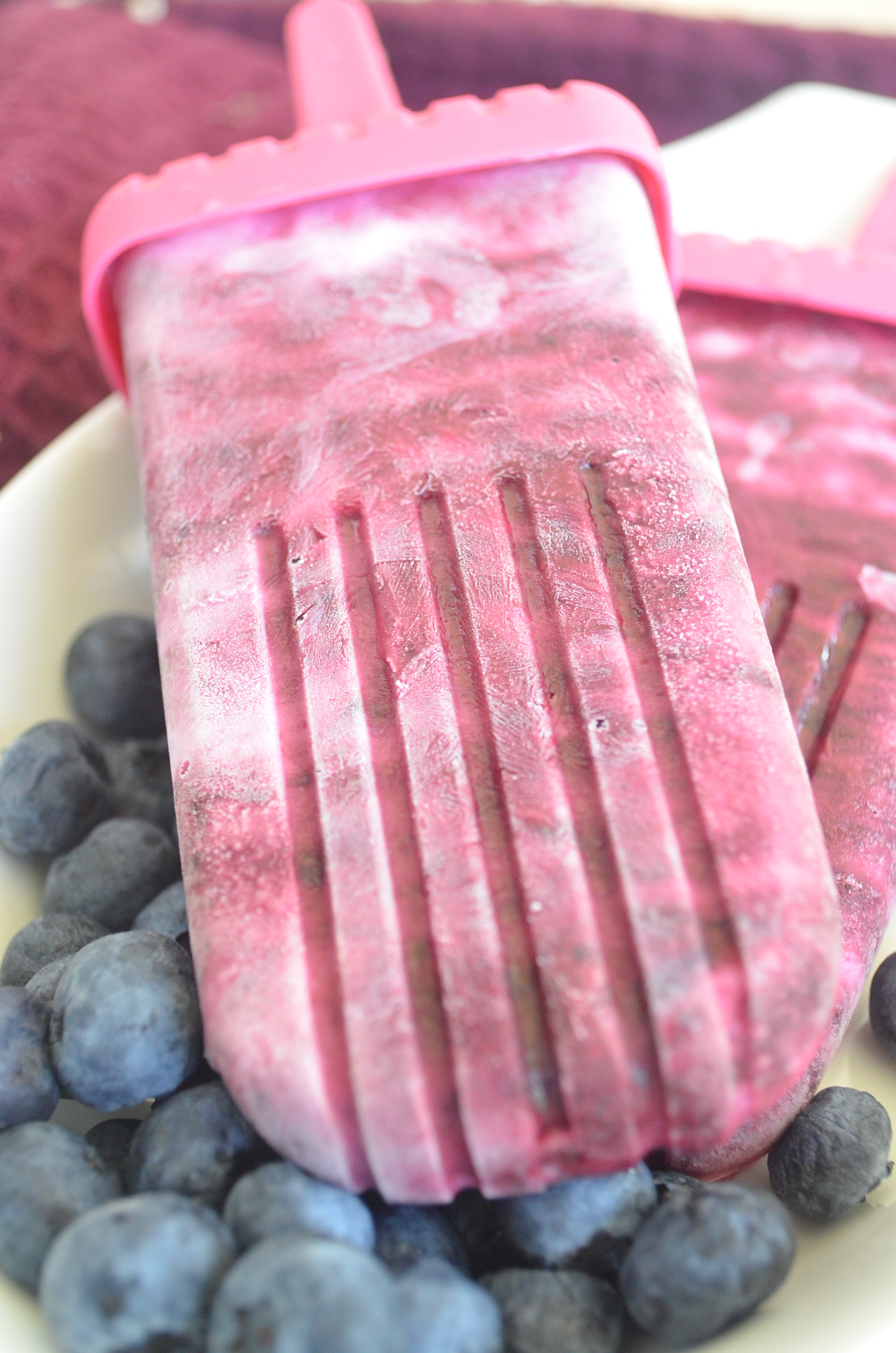 Blueberry Yogurt Popsicle
