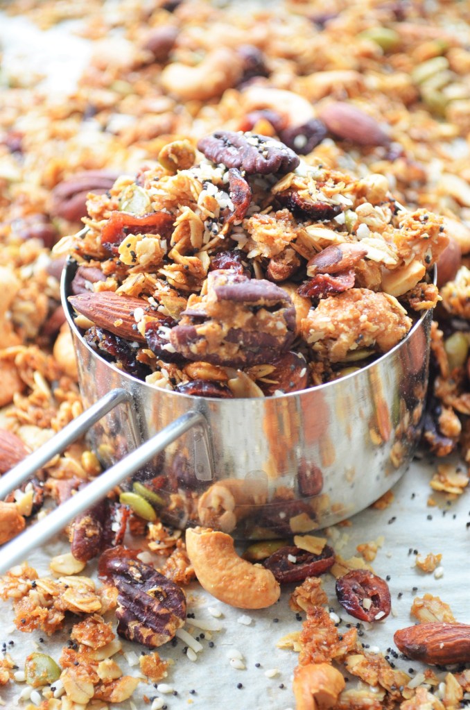 Homemade Cranberry and Nuts Granola