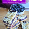 Blueberry Crumb Bar&nbsp;3