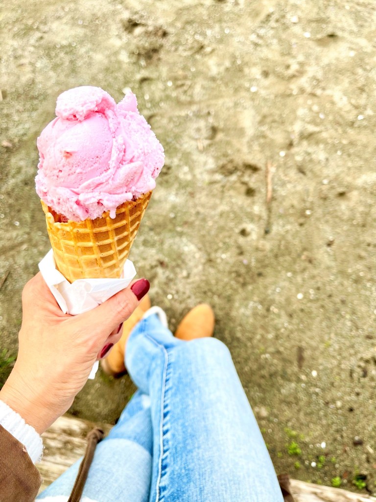 Fall at John Hendry Park