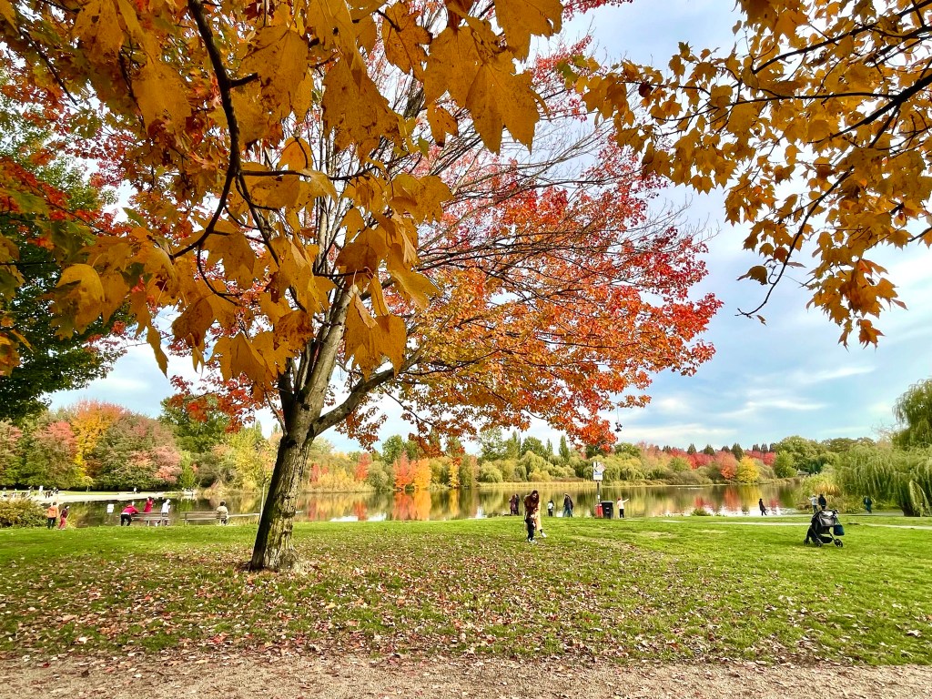 Fall 2021 at Trout Lake Park