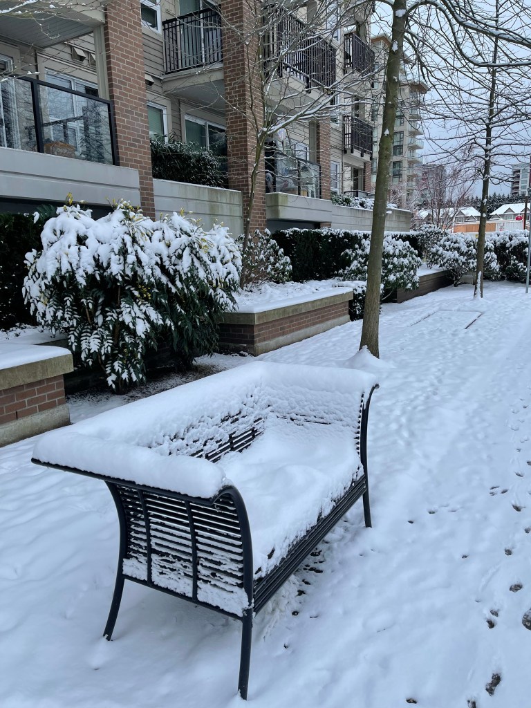 Trout Lake Park Vancouver BC Canada