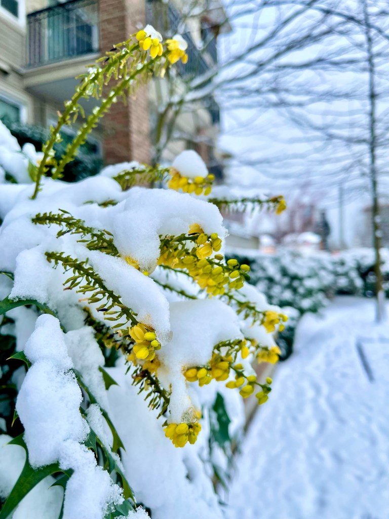 John Hendry Park Canada